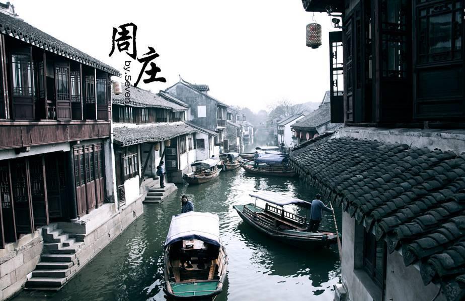 呆萌动物园